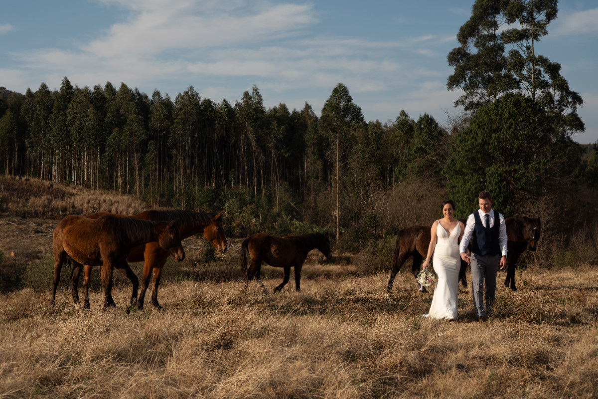 Kwa-Zulu natal midlands wedding